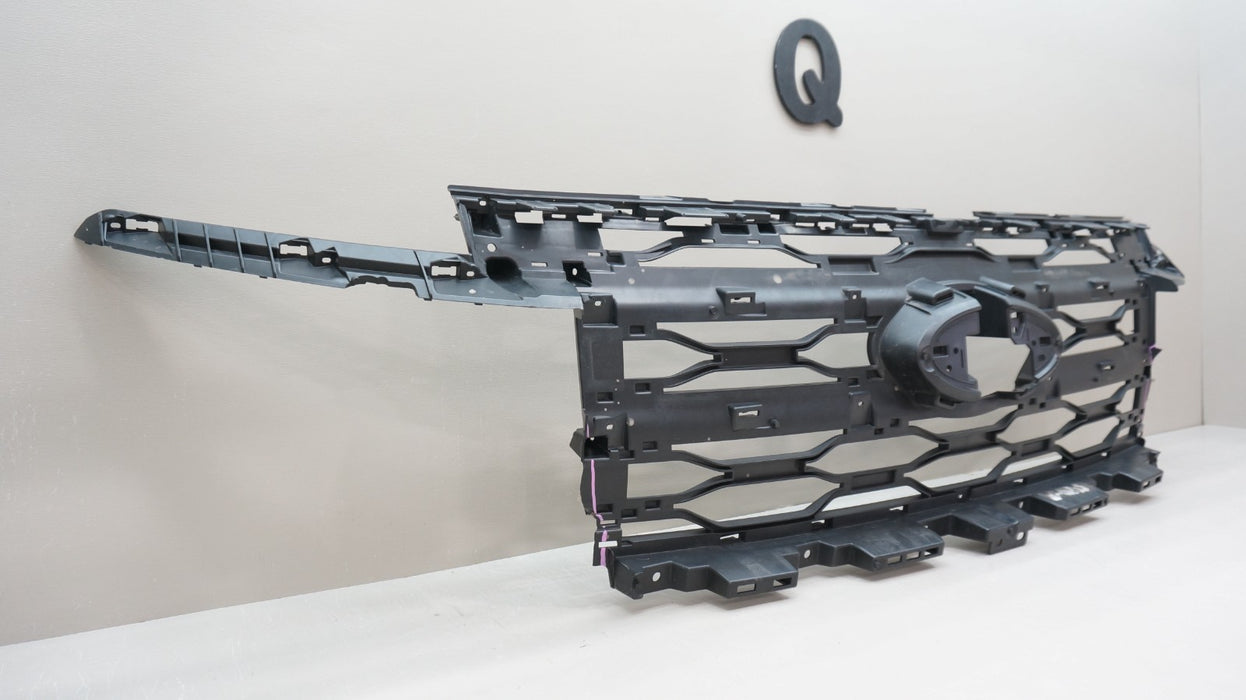2022-2024 FORD EXPEDITION FRONT BUMPER GRILLE SUPPORT INSERT OEM NL1B-8A164-A
