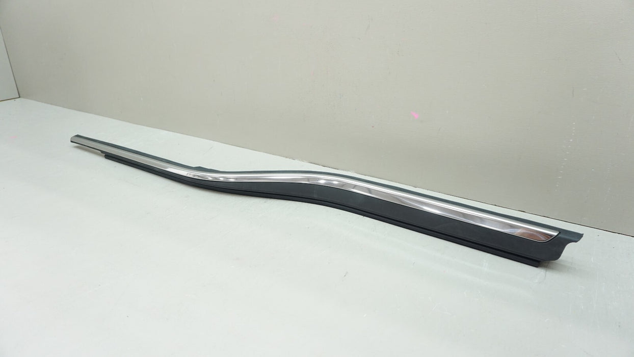 2017-2019 FORD F-150 F-250 F-350 LEFT DRIVER SIDE DOOR WINDOW WEATHERSTRIP OEM