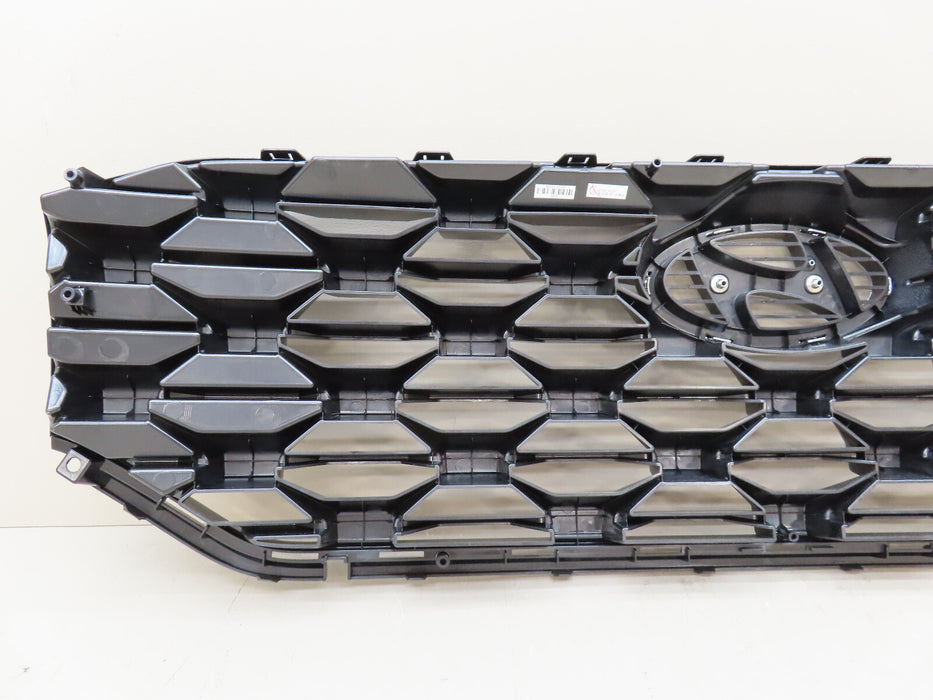 2021-2022 HYUNDAI SANTA FE FRONT BUMPER GRILLE GRILL W/ EMBLEM OEM 86350-S2500
