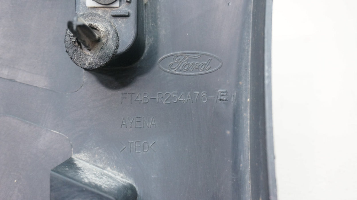 2020-2022 FORD EDGE REAR RIGHT DOOR MOLDING FT4B-R254A76-A OEM