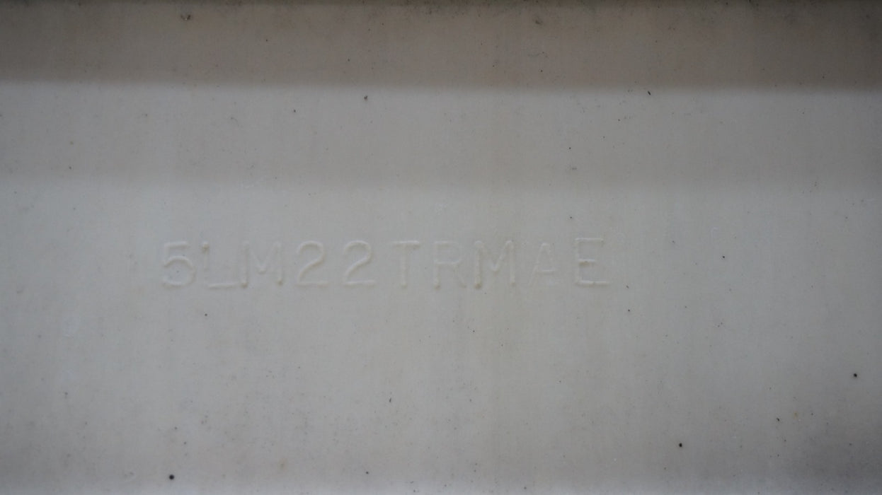 2015-2023 DODGE CHALLENGER REAR BUMPER COVER 5LM22TRMAE OEM