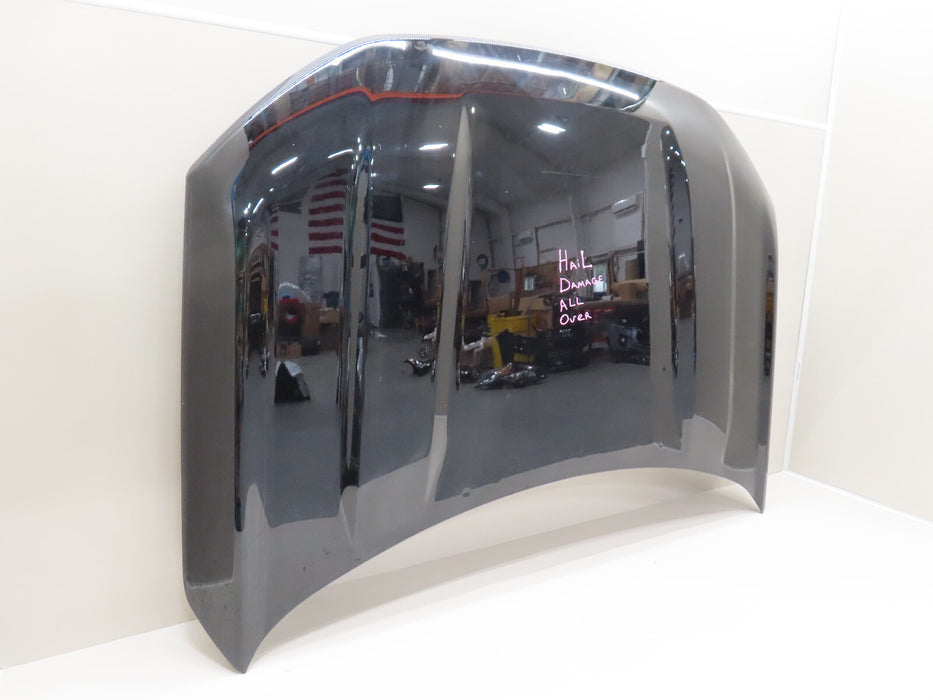 2021-2023 FORD BRONCO SPORT HOOD BONNET SHELL PANEL OEM