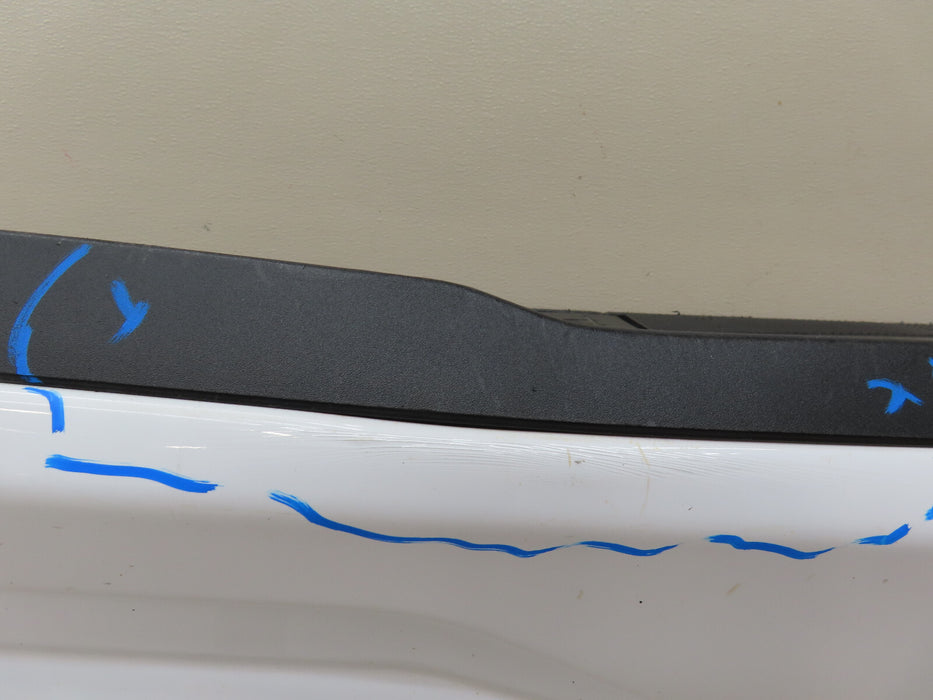 2021-2023 FORD F150 F-150 REAR TAIL GATE SHELL OEM