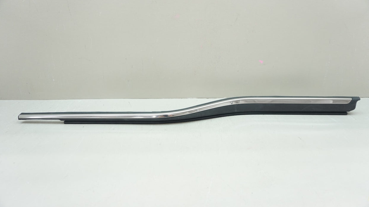 2017-2019 FORD F-150 F-250 F-350 LEFT DRIVER SIDE DOOR WINDOW WEATHERSTRIP OEM