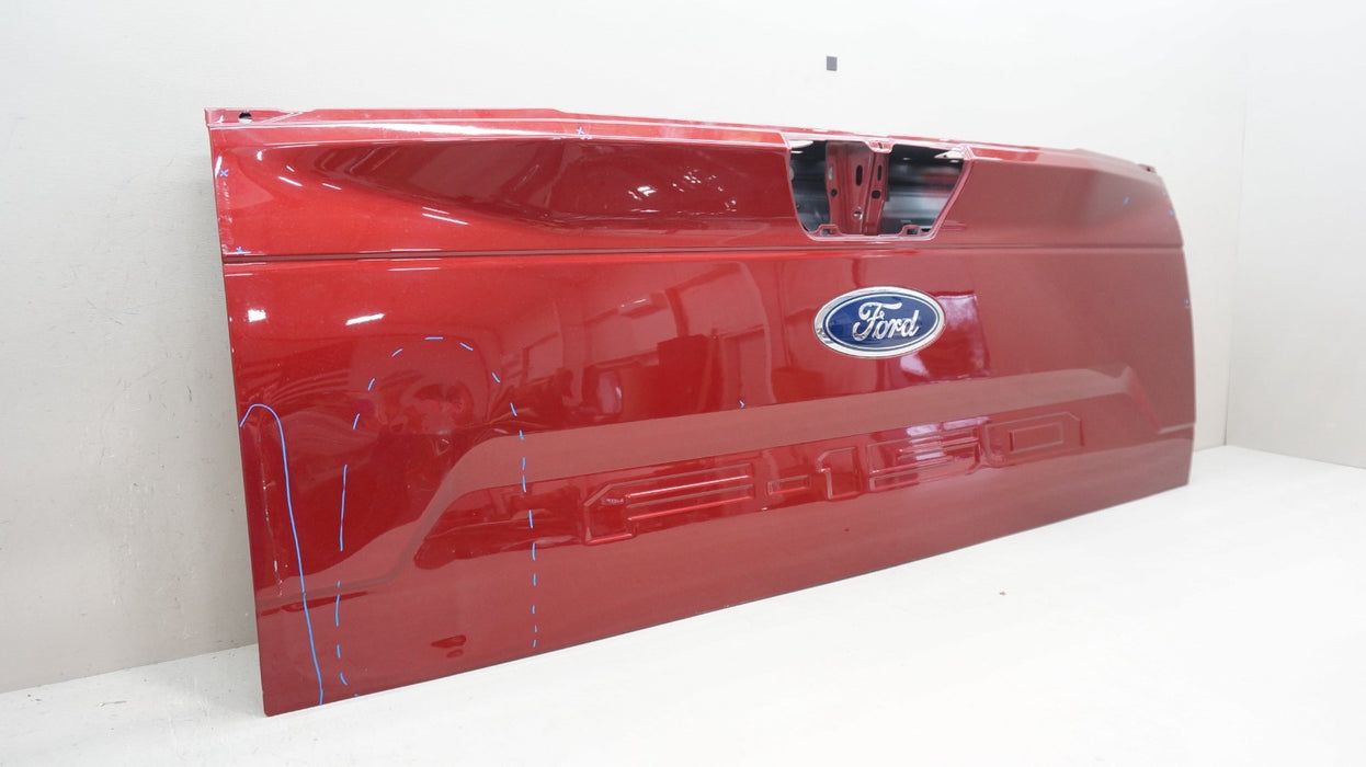 2015-2017 FORD F-150 F150 REAR BED TAILGATE PANEL SHELL OEM