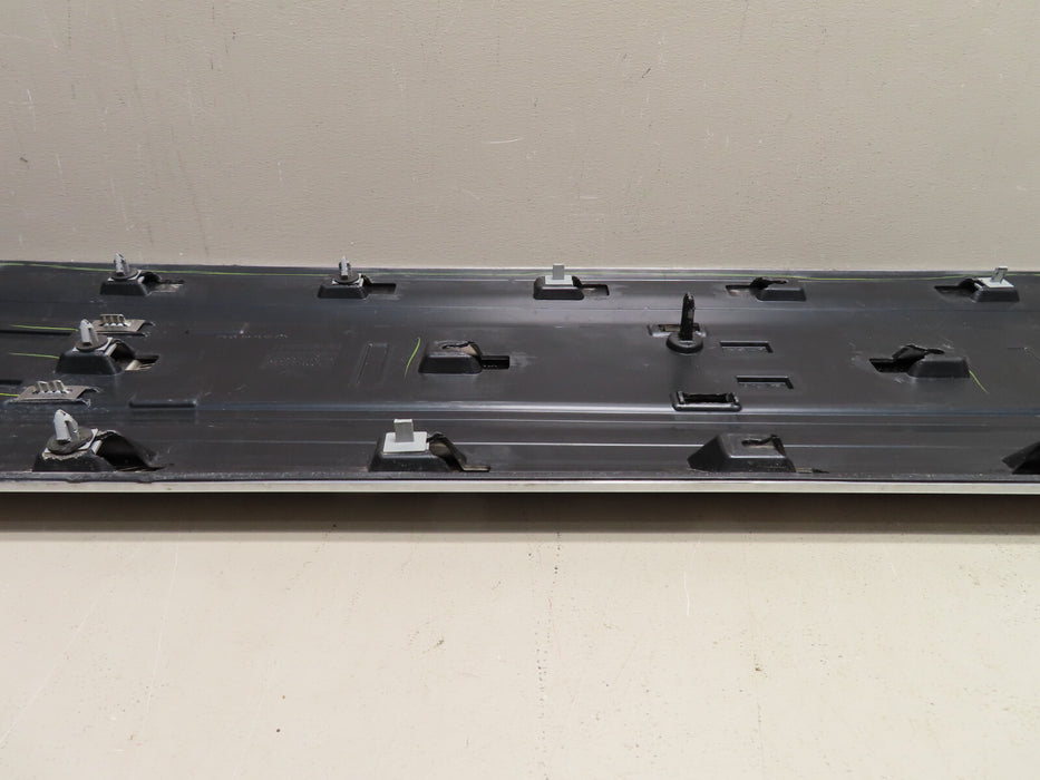 2018 2019 2020 FORD F-150 PLATINUM TAILGATE TRIM MOLDING INSERT PANEL GATE oem