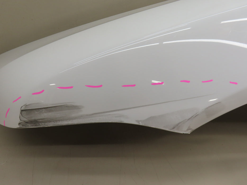 2014-2021 ROLLS ROYCE WRAITH DAWN FRONT LEFT DRIVER FENDER PANEL OEM