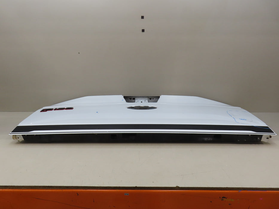2015-2017 FORD F150 150 TAILGATE PANEL OEM