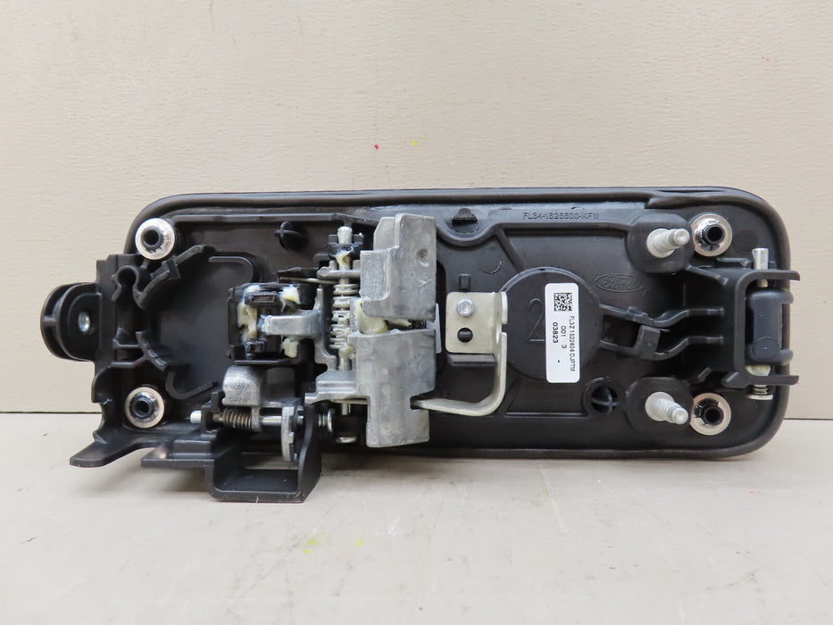 2015-2020 FORD F150 F-150 REAR RIGHT PASSENGER SIDE DOOR HANDLE OEM