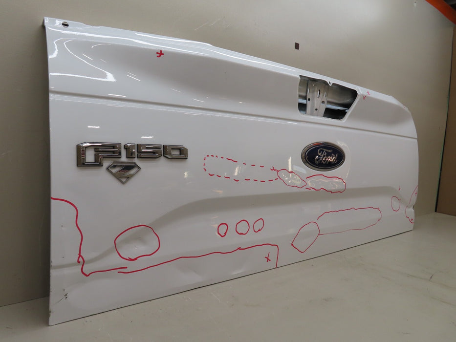 2015-2017 FORD F150 150 TAILGATE PANEL OEM