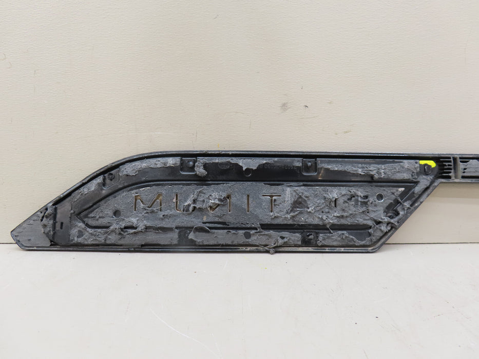 2022-2023 TOYOTA TUNDRA PLATINUM FRONT RIGHT PASSENGER SIDE DOOR MOLDING OEM