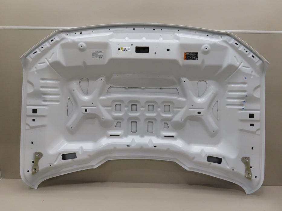 2021-2023 FORD F150 F-150 FRONT HOOD BONNET OEM