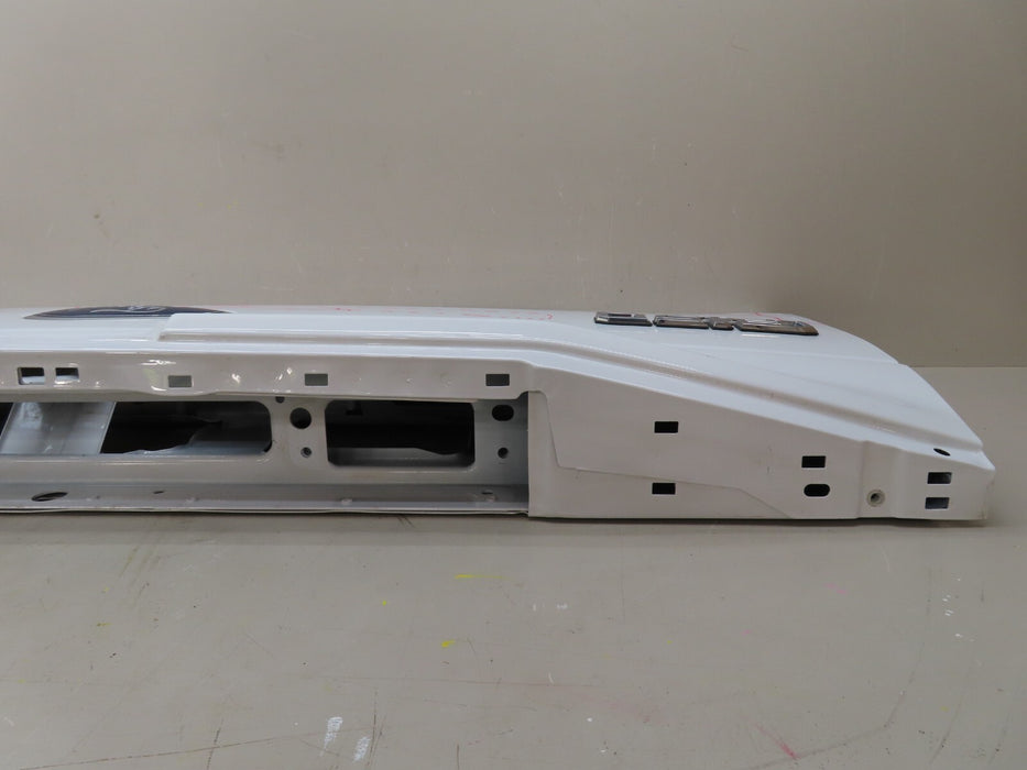 2015-2017 FORD F150 150 TAILGATE PANEL OEM