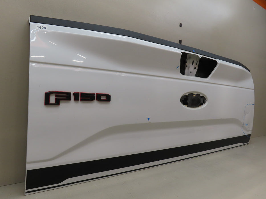 2015-2017 FORD F150 150 TAILGATE PANEL OEM
