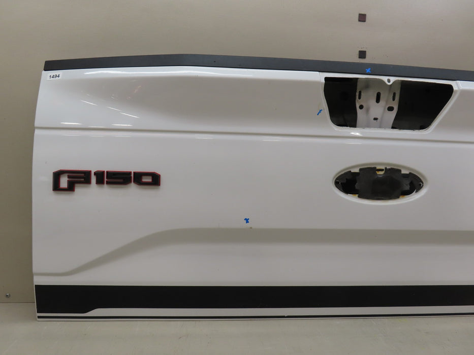 2015-2017 FORD F150 150 TAILGATE PANEL OEM