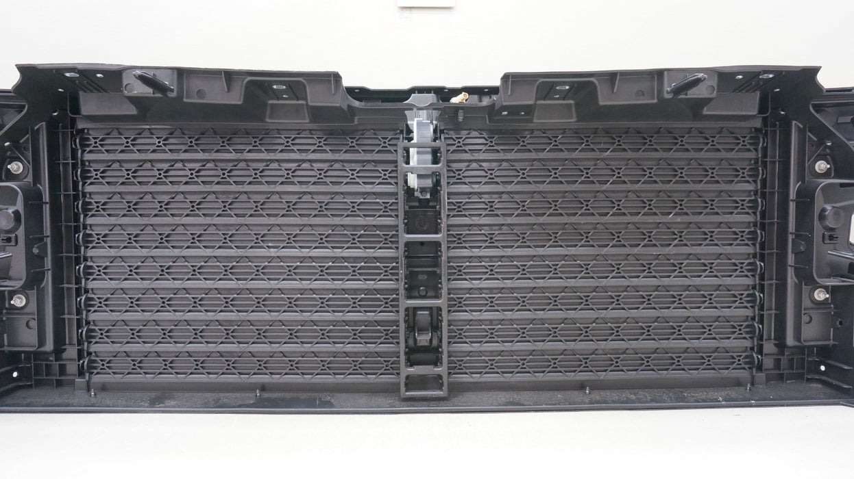 2024-2025 FORD F-150 F150 FRONT MAIN GRILLE W SHUTTERS W CAMERA 360 OEM TAKE OFF