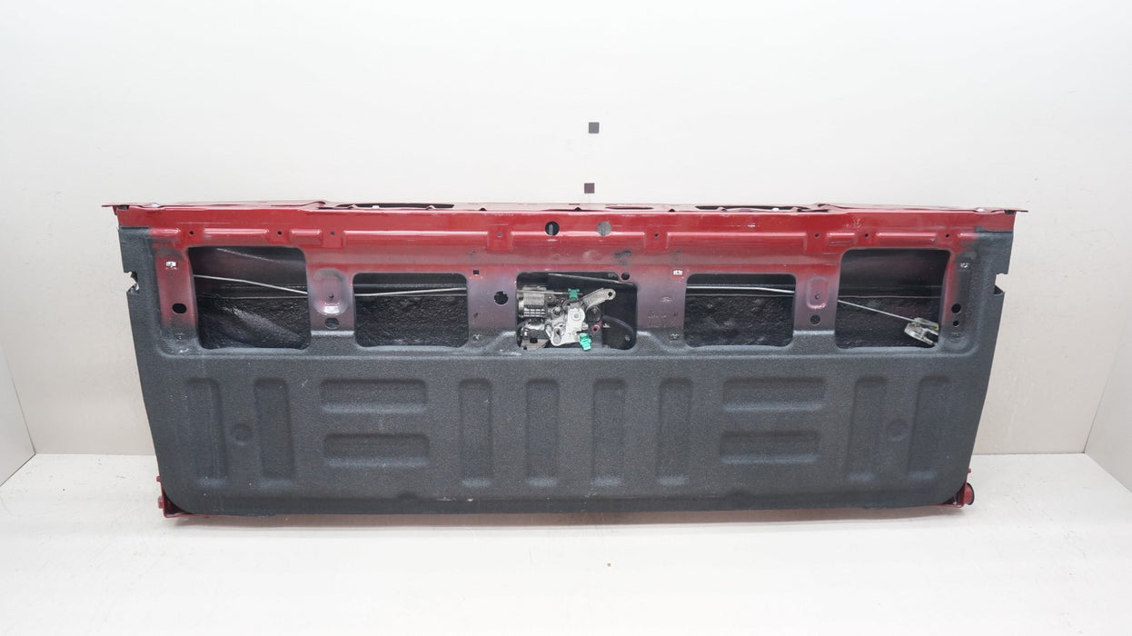 2015-2017 FORD F-150 F150 REAR BED TAILGATE PANEL SHELL OEM