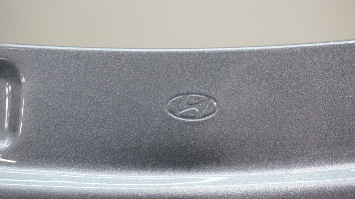 2019-2023 HYUNDAI SANTA FE FRONT LEFT DRIVER SIDE FENDER PANEL OEM