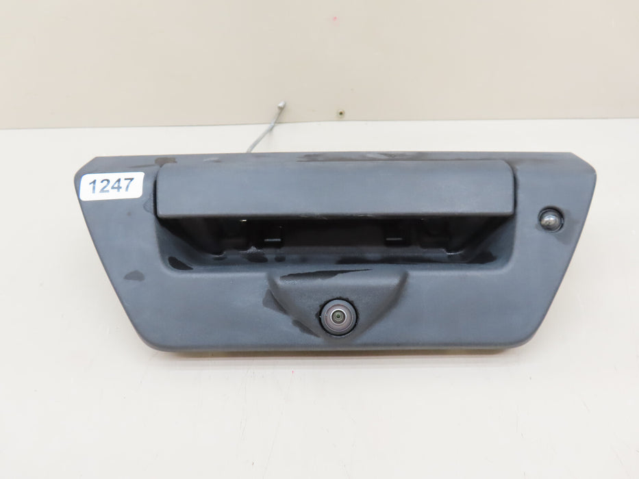 2018-2020 FORD F150 F-150 REAR TAILGATE TRUNK HANDLE OEM