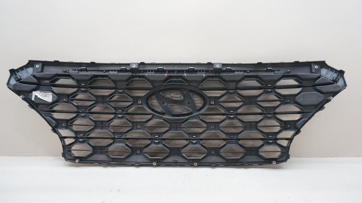 2019-2020 HYUNDAI SANTA FE FRONT RADIATOR GRILL GRILLE OEM 86366-S2100