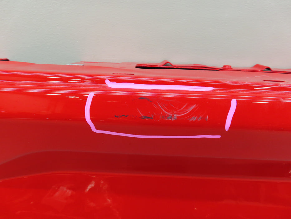 2021-2023 FORD F150 F-150 REAR TAIL GATE OEM