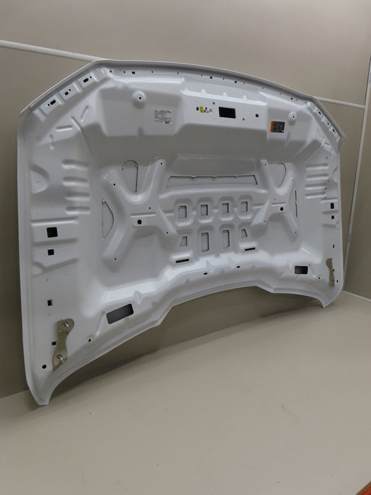 2021-2023 FORD F150 F-150 FRONT HOOD BONNET OEM