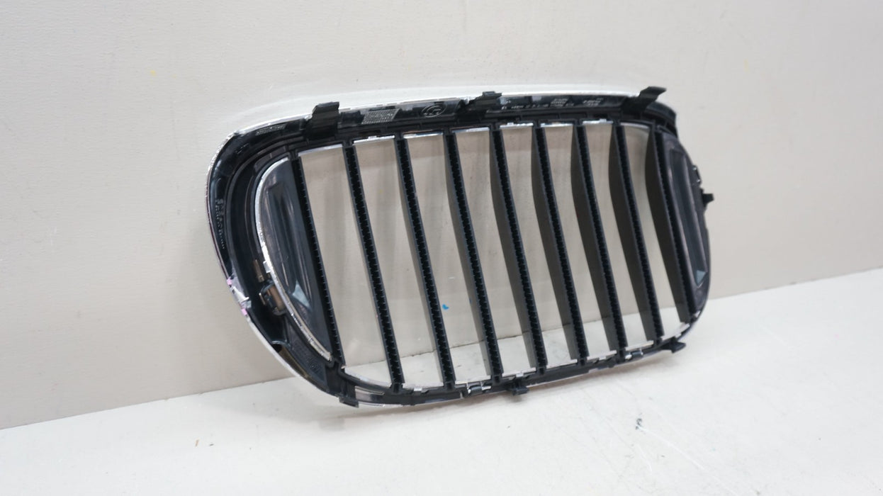 2016-2019 BMW 7 SERIES G11 G12 FRONT LEFT DRIVER SIDE RADIATOR KINDEY GRILLE OEM