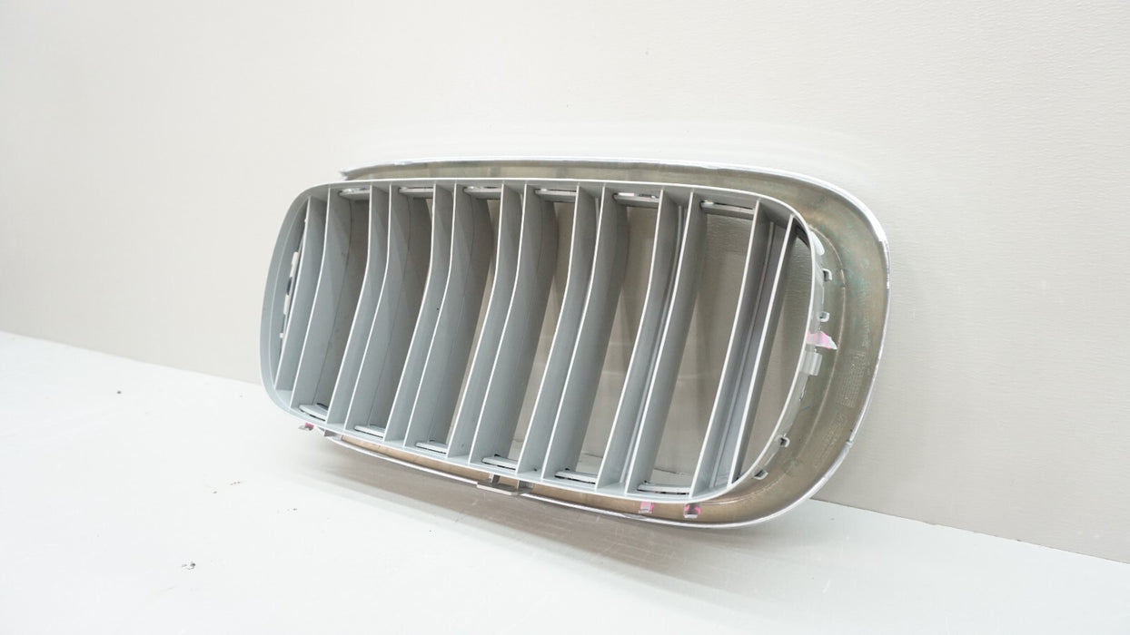2014-2018 BMW X5 X6 LEFT DRIVER SIDE KIDNEY GRILLE GRILL 5111MI-7309775-02 OEM