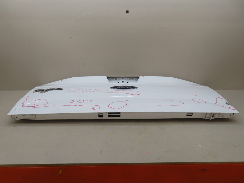 2015-2017 FORD F150 150 TAILGATE PANEL OEM
