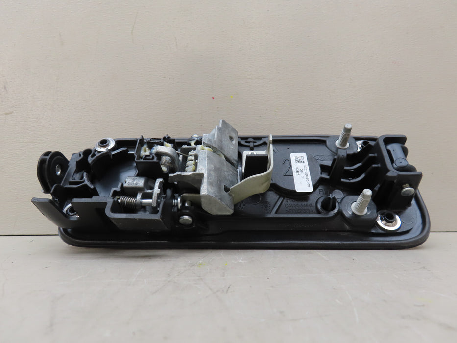 2015-2020 FORD F150 F-150 REAR RIGHT PASSENGER SIDE DOOR HANDLE OEM