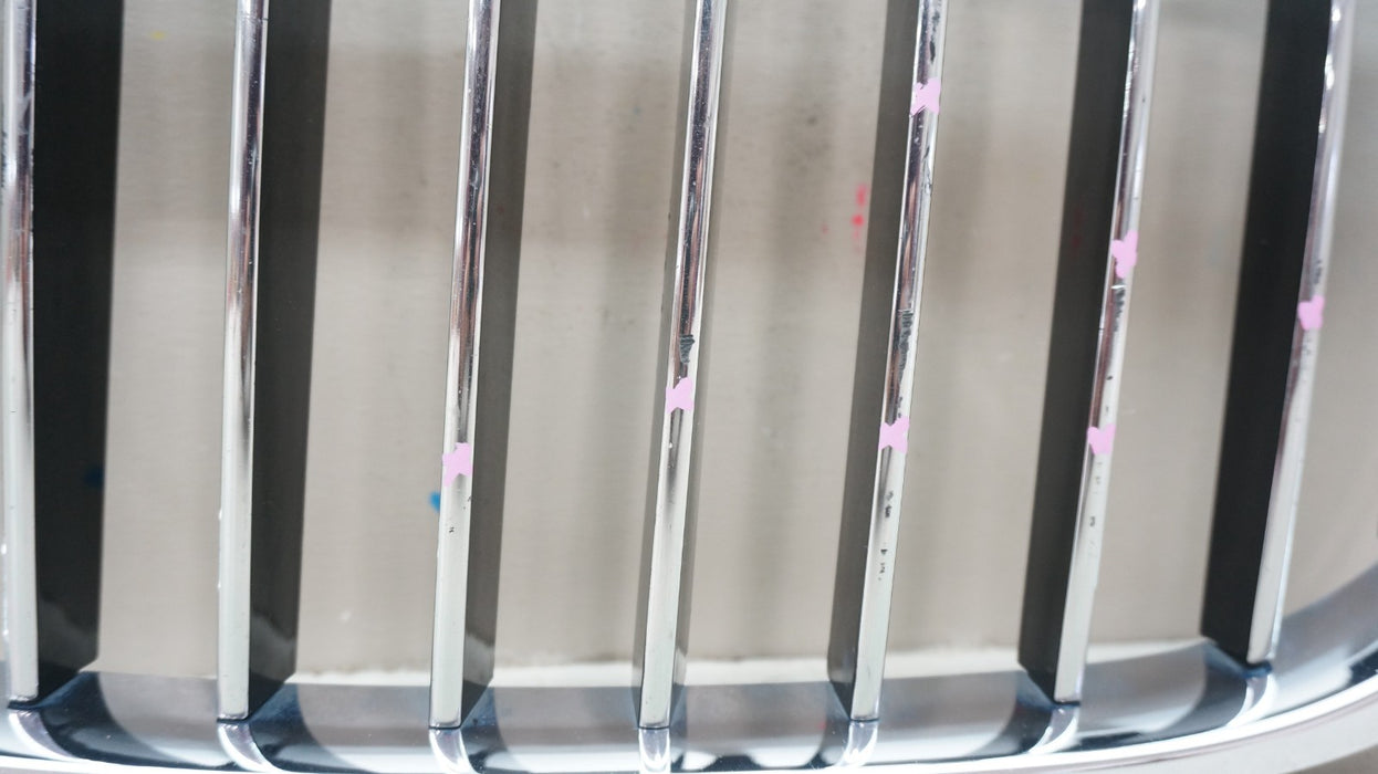 2016-2019 BMW 7 SERIES G11 G12 FRONT LEFT DRIVER SIDE RADIATOR KINDEY GRILLE OEM