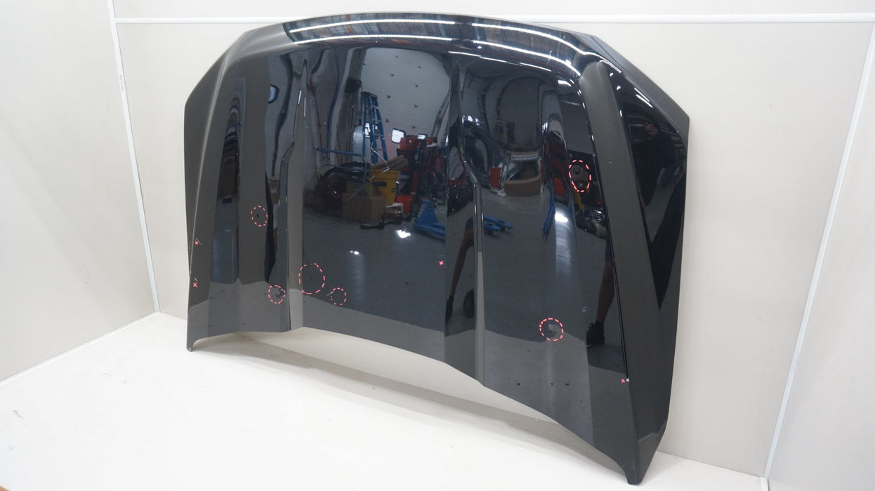 2021-2025 FORD F-150 F150 FRONT HOOD BONNET COVER OEM