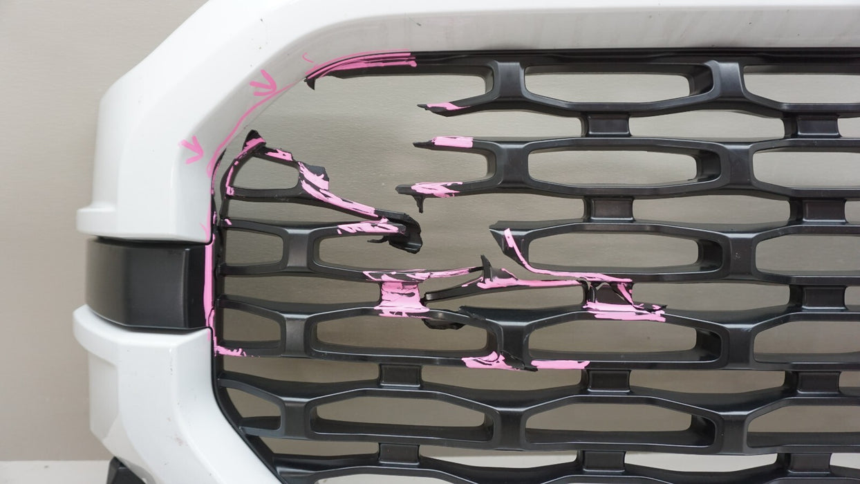 2021-2023 FORD F150 F-150 SPORT FRONT BUMPER CENTER GRILL GRILLE OEM ML34-8200