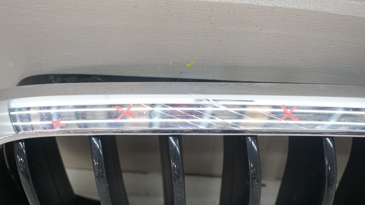2014-2018 BMW X5 FRONT RH RIGHT GRILLE GRILL KIDNEY OEM 7316076