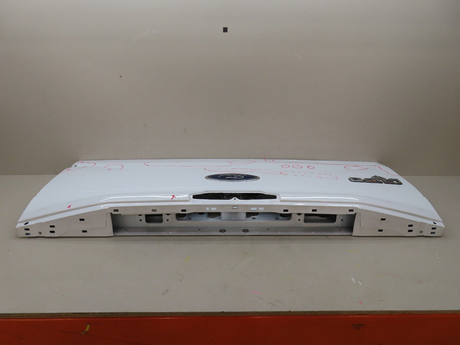 2015-2017 FORD F150 150 TAILGATE PANEL OEM