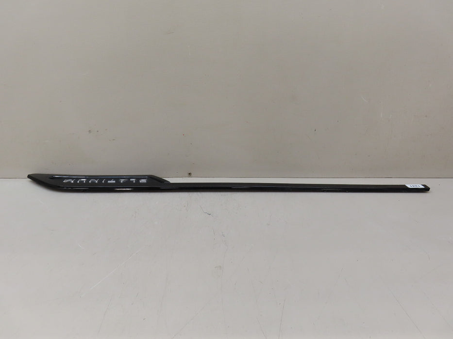 2022-2023 TOYOTA TUNDRA PLATINUM FRONT RIGHT PASSENGER SIDE DOOR MOLDING OEM