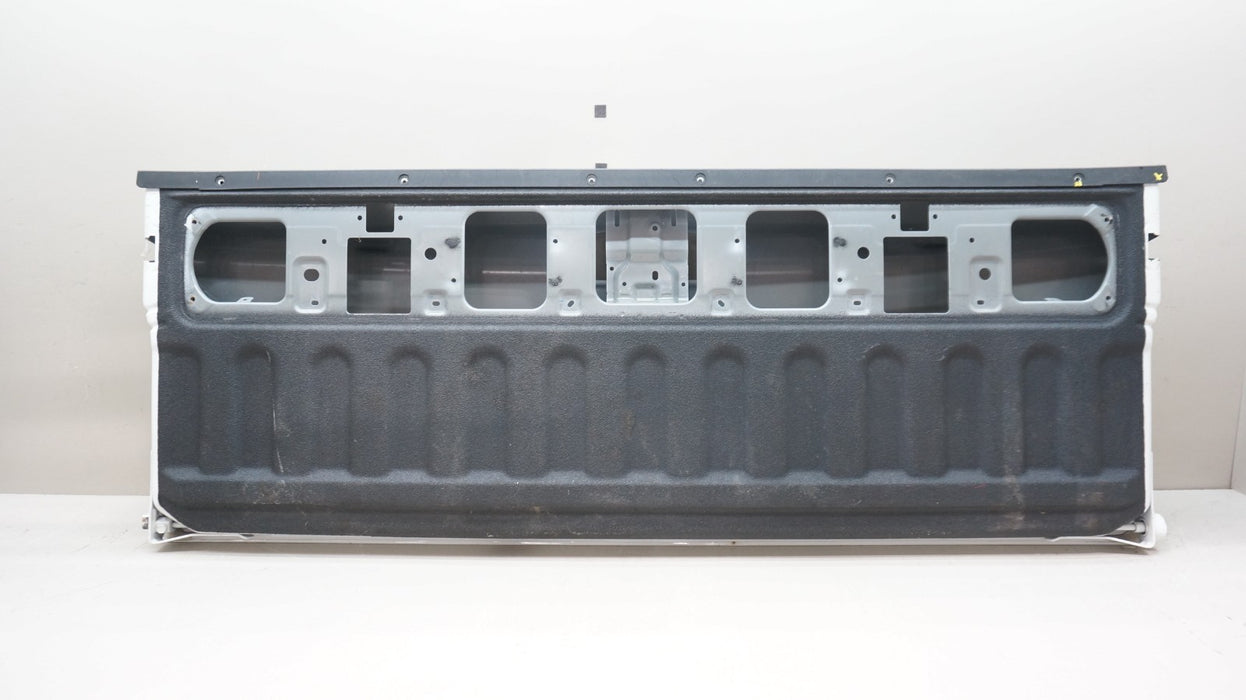 2019-2025 DODGE RAM 1500 BIGHORN REAR BED TAILGATE OEM