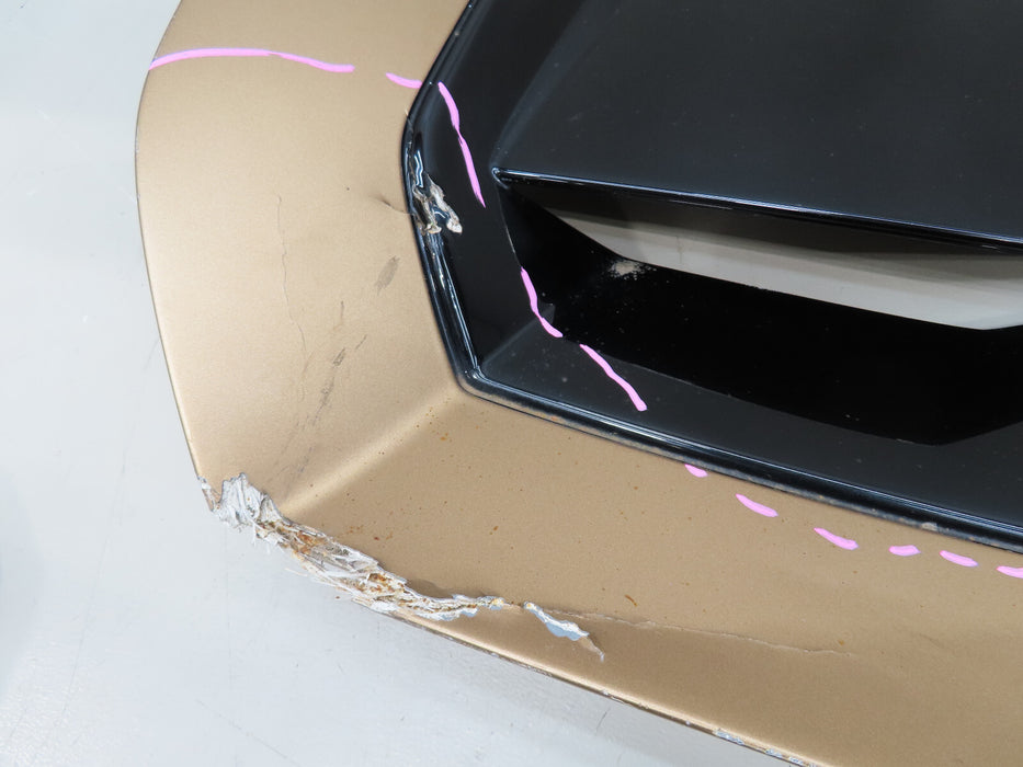 LAMBORGHINI HURACAN SPYDER REAR HOOD BONNET DECK LID OEM 4T7827029