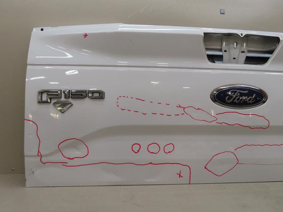 2015-2017 FORD F150 150 TAILGATE PANEL OEM