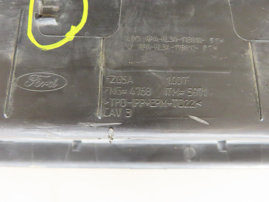 2015-2020 FORD F150 F-150 REAR BUMPER STEP PAD OEM HL34-17B810