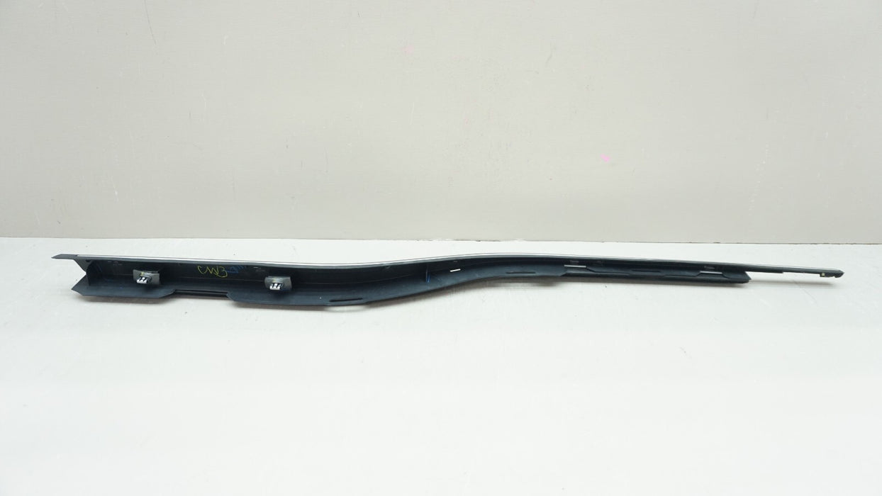 2017-2019 FORD F-150 F-250 F-350 LEFT DRIVER SIDE DOOR WINDOW WEATHERSTRIP OEM