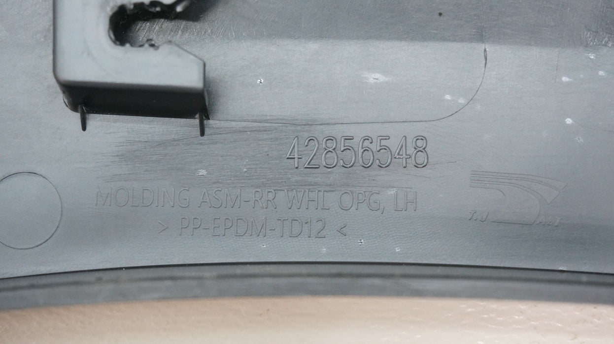 2024-2025 CHEVROLET TRAX REAR LEFT DRIVER SIDE FENDER FLARE TRIM OEM 42856548