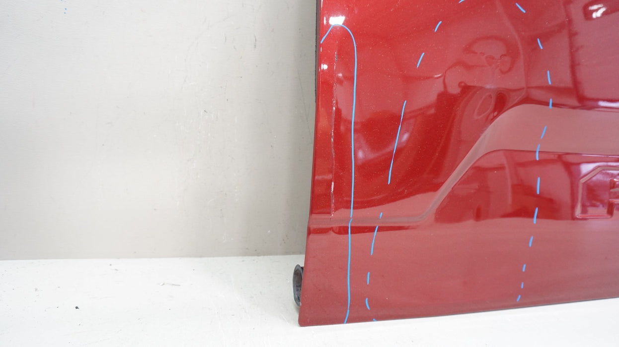 2015-2017 FORD F-150 F150 REAR BED TAILGATE PANEL SHELL OEM