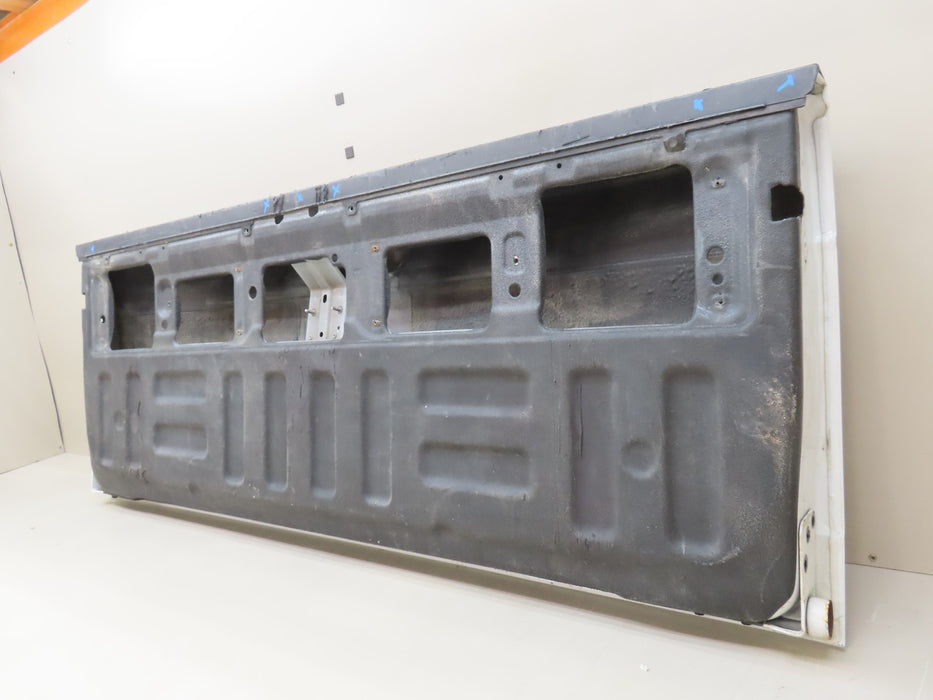 2015-2017 FORD F150 150 TAILGATE PANEL OEM