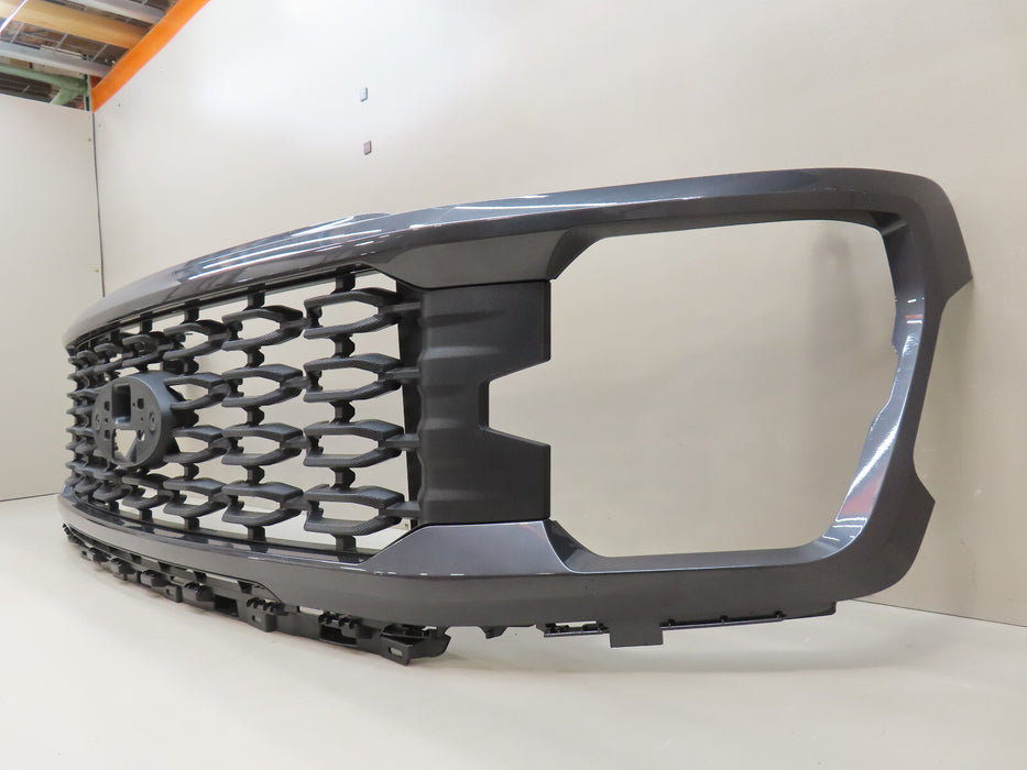 2024 2025 FORD F150 F-150 FRONT RADIATOR GRILL GRILE OEM