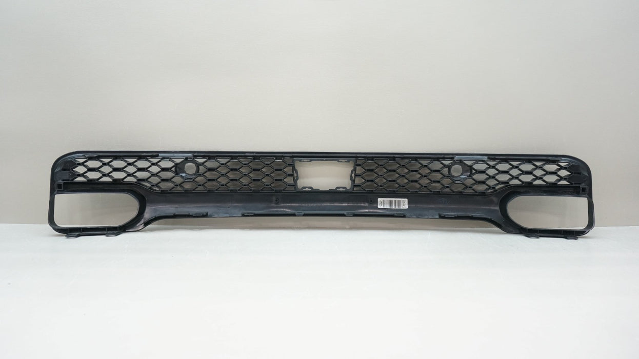 2025-2026 DODGE RAM 1500 FRONT LOWER GRILLE TEXTURE OEM 68607560AA