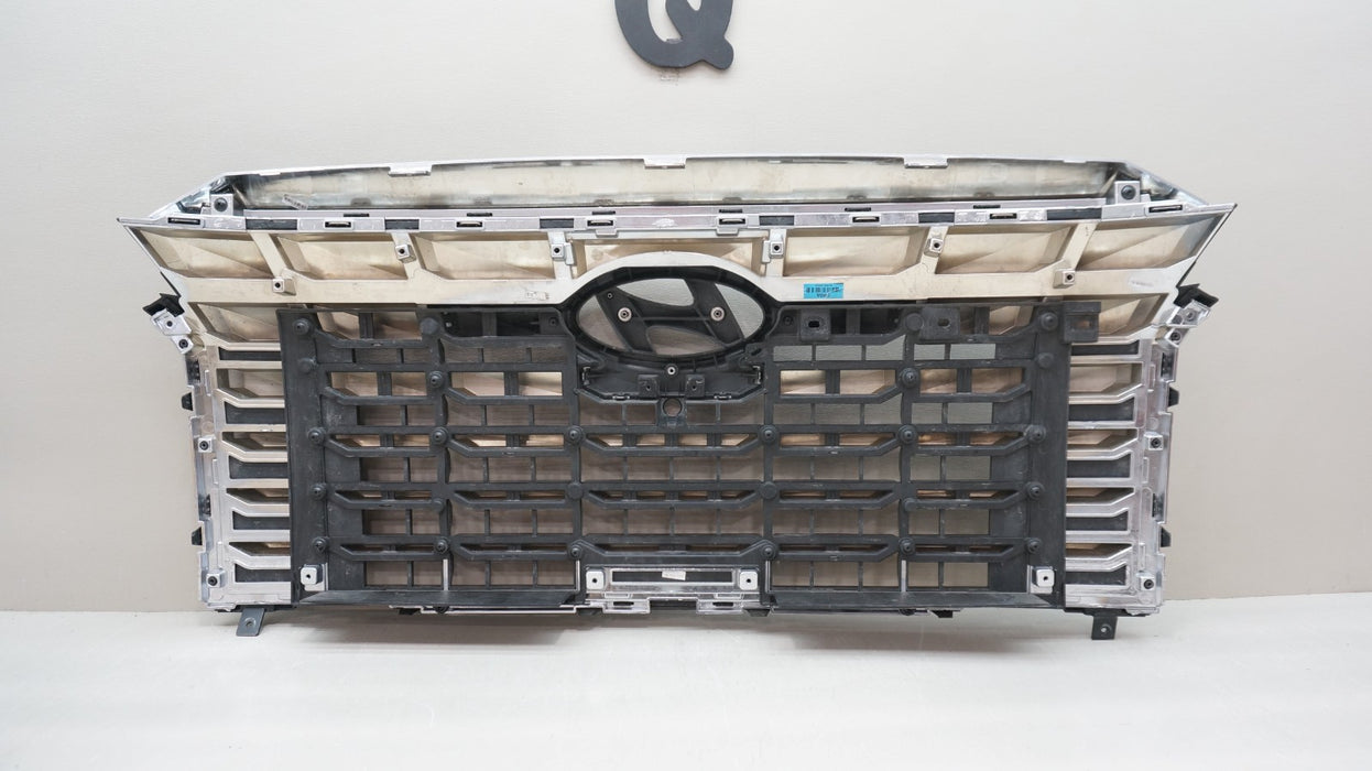 2023-2024 HYUNDAI PALISADE FRONT BUMPER RADIATOR GRILLE OEM 86599-S8CB0