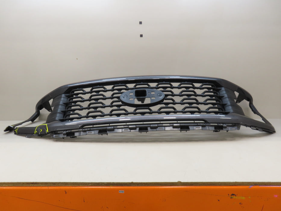 2024-2025 FORD F150 F-150 FRONT RADIATOR GRILL GRILE OEM RL34-8200-LC