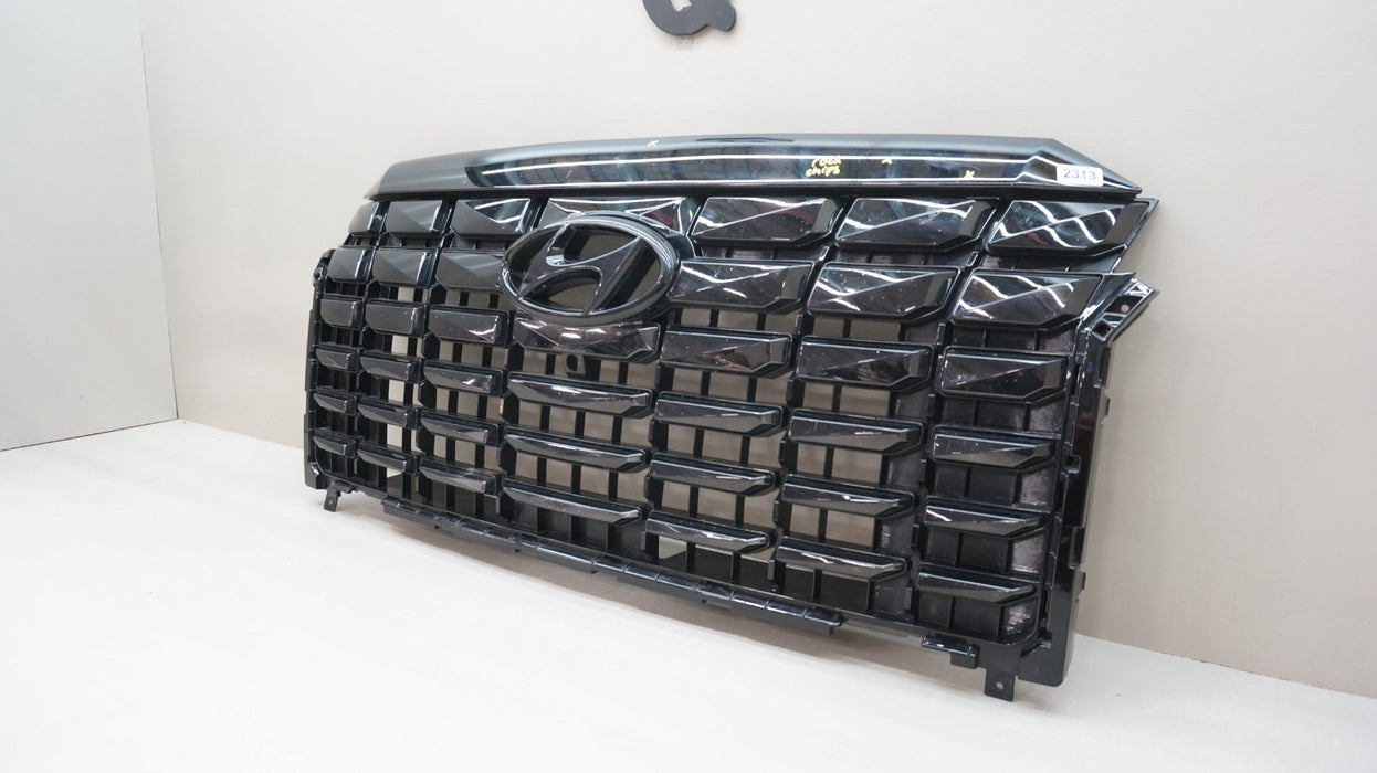 2023-2024 HYUNDAI PALISADE FRONT BUMPER RADIATOR GRILLE OEM 86599-S8CB0