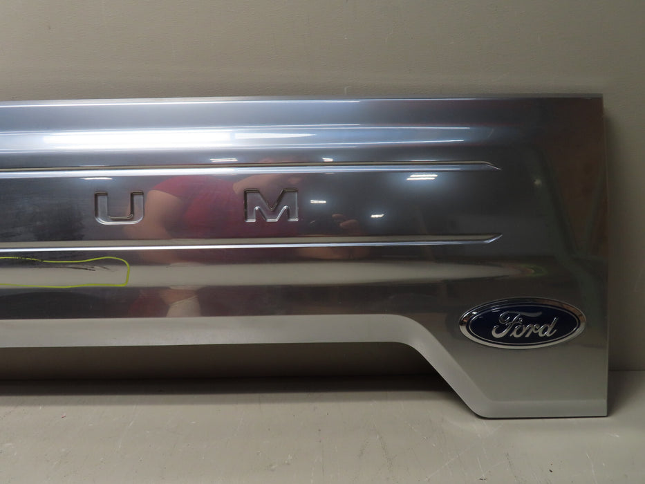 2018 2019 2020 FORD F-150 PLATINUM TAILGATE TRIM MOLDING INSERT PANEL GATE oem